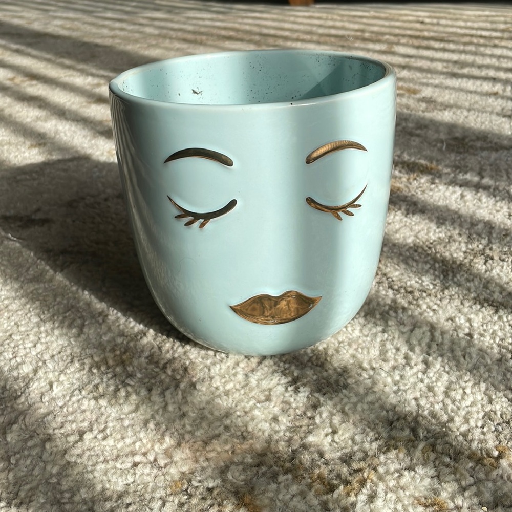 Plant pot